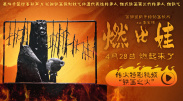 精品国产1
